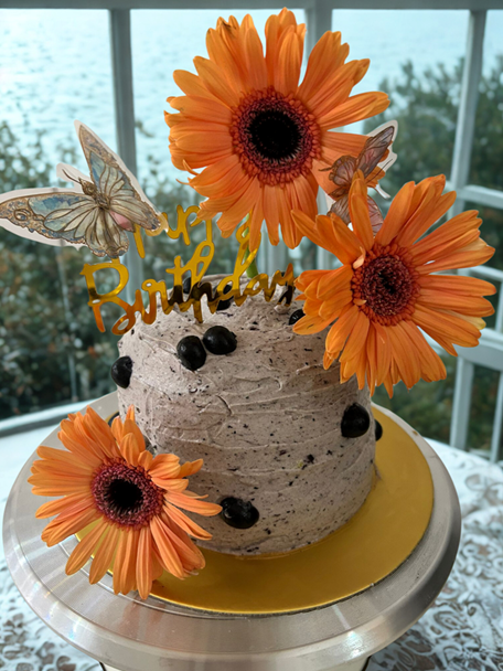 Sunny Daisies Dream